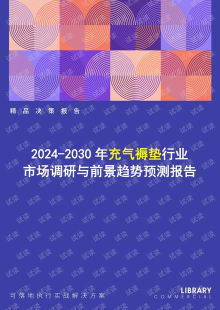 2024-2030年充气褥垫行业市场调研及前景趋势预测报告